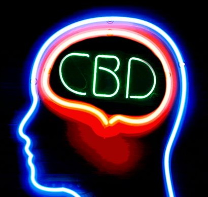 CBD Brain Neon Sign